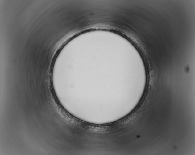 X0000116461229201001061031