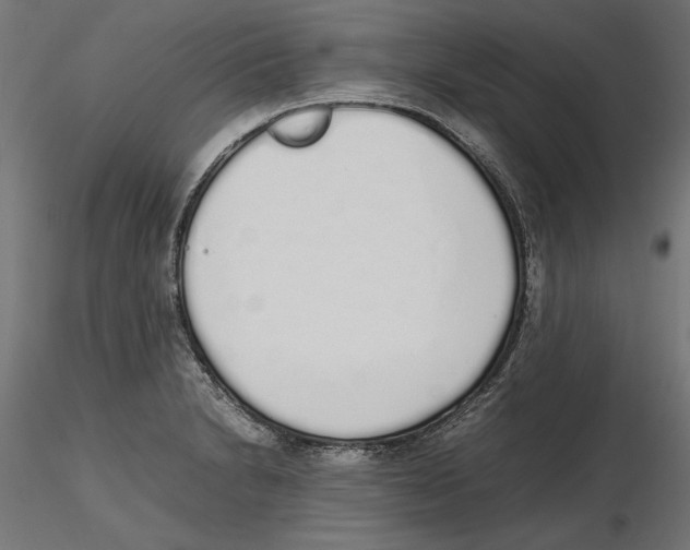 X0000116461230201001061031