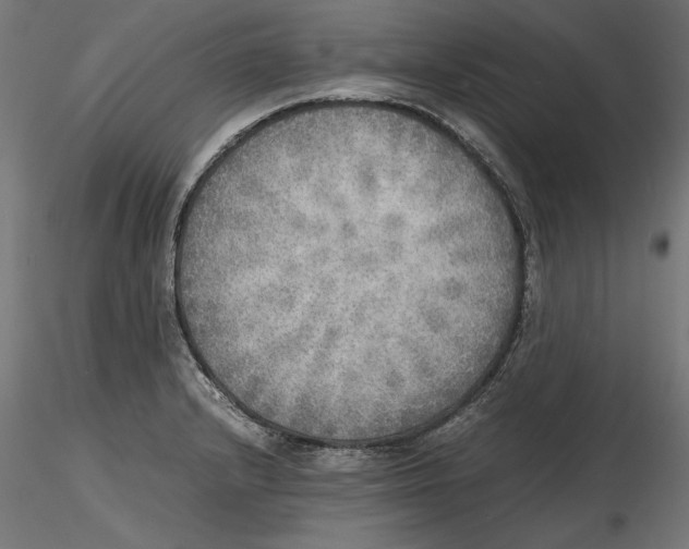 X0000116461232201001061031