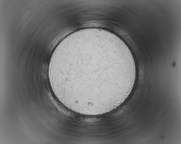 X0000116461233201001061031