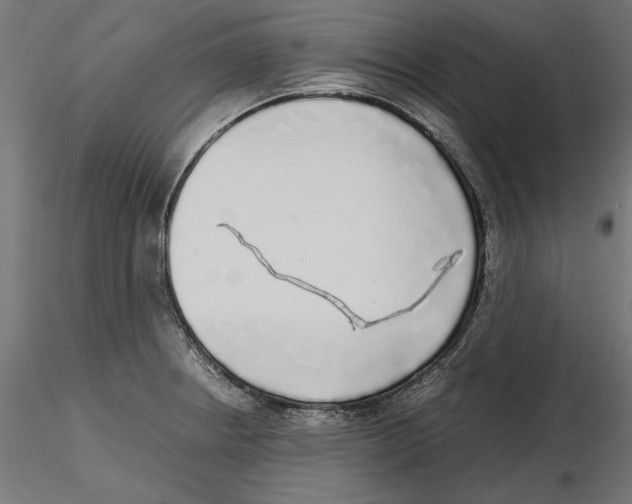 X0000116461234201001061031