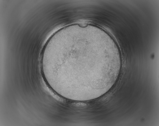 X0000116461235201001061031