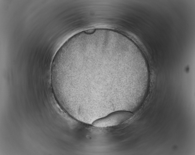 X0000116461236201001061031