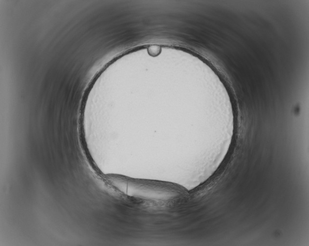 X0000116461237201001061031