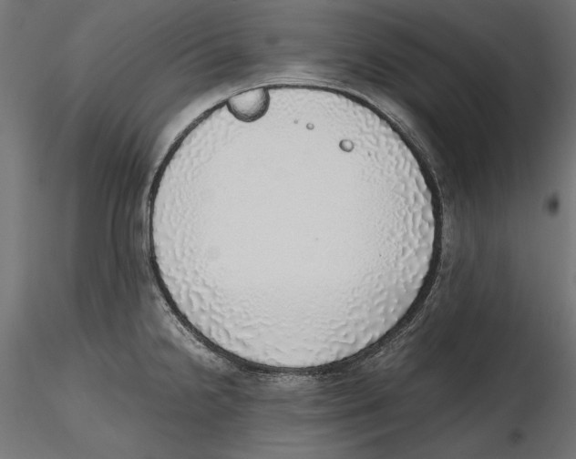 X0000116461238201001061031
