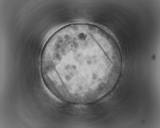 X0000116461239201001061031