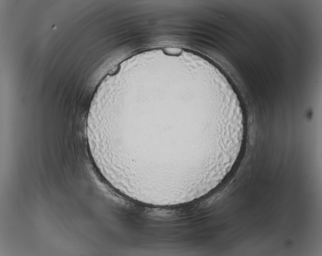 X0000116461241201001061031