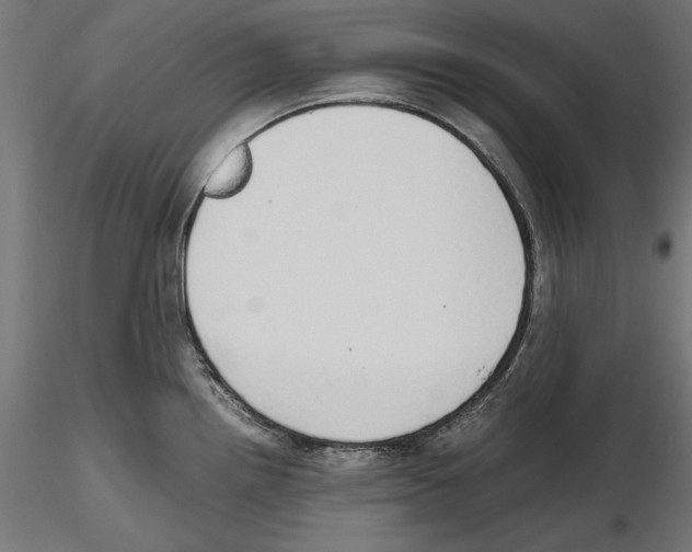 X0000116461242201001061031
