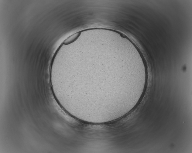 X0000116461246201001061031