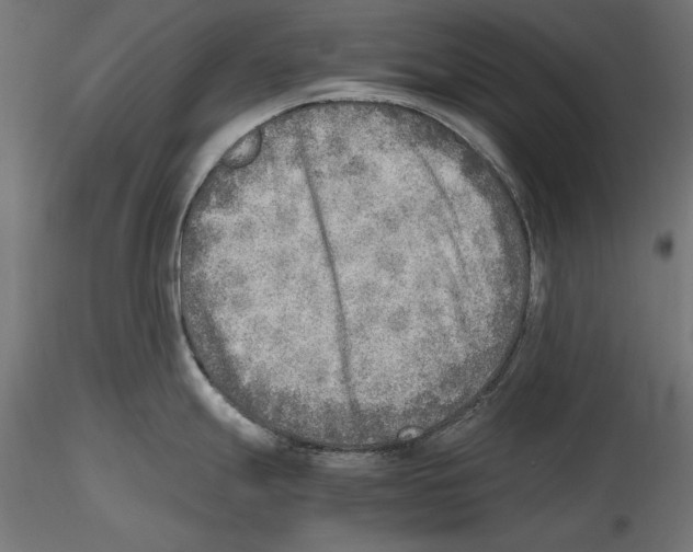 X0000116461247201001061031
