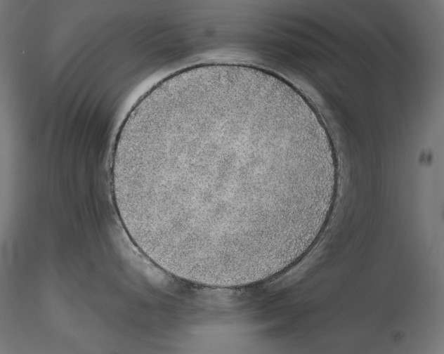 X0000116461248201001061031