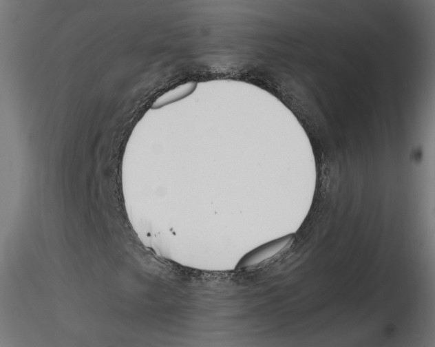 X0000116461249201001061031