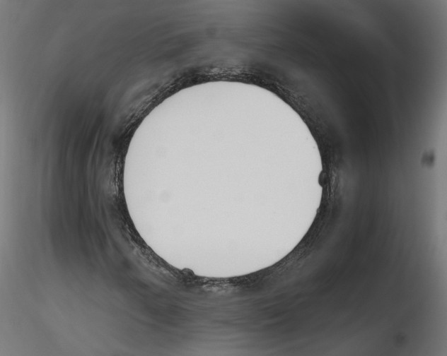 X0000116461250201001061031