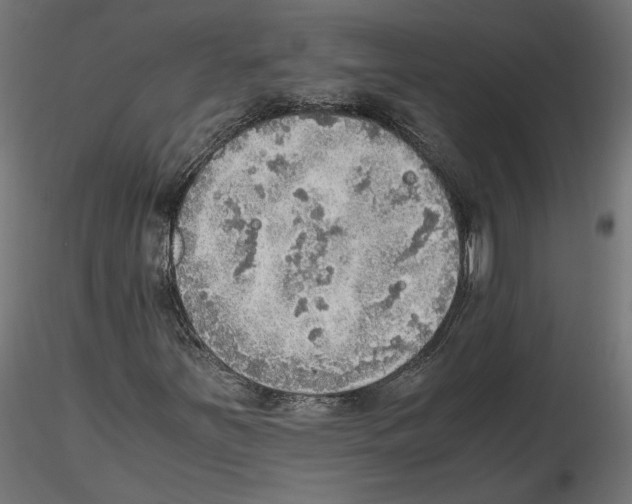 X0000116461251201001061031