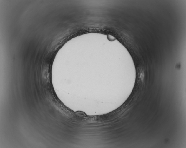 X0000116461252201001061031
