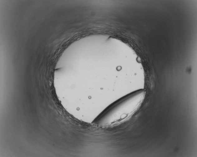 X0000116461253201001061031
