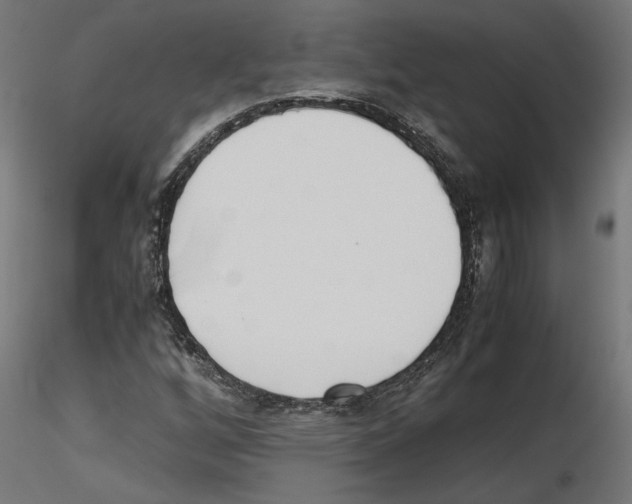 X0000116461256201001061031