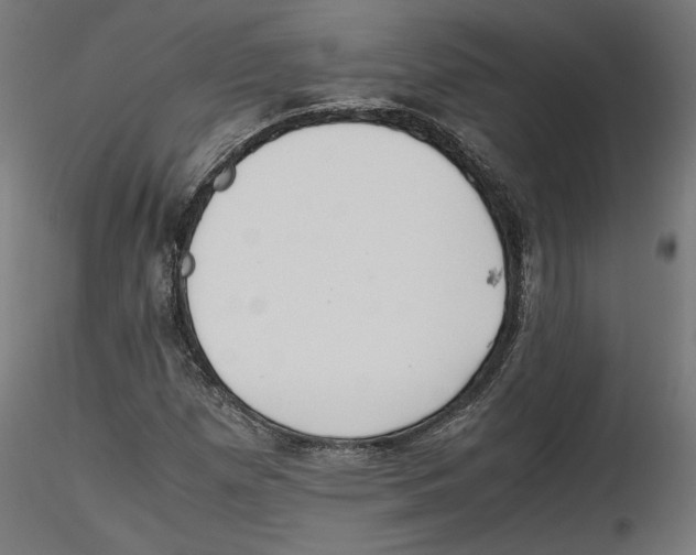 X0000116461257201001061031