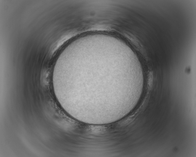 X0000116461258201001061031
