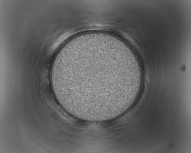 X0000116461259201001061031