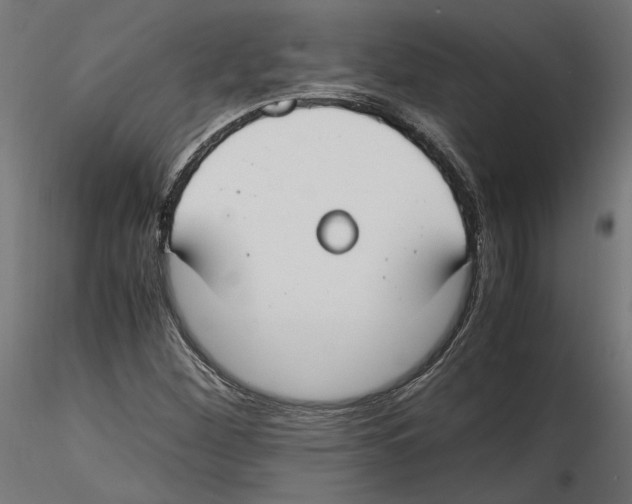 X0000116461260201001061031