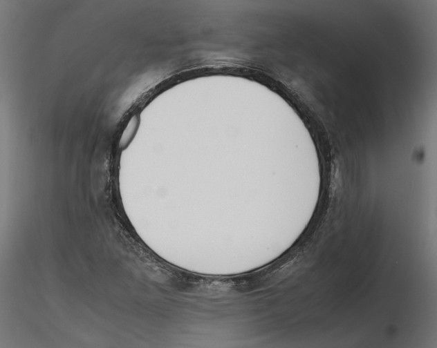 X0000116461261201001061031