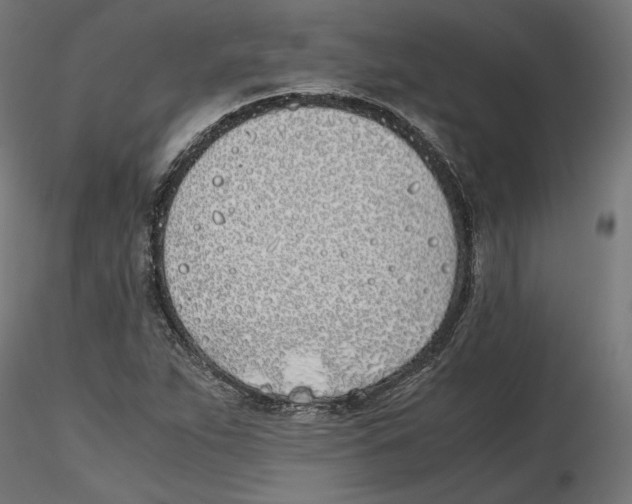 X0000116461263201001061031