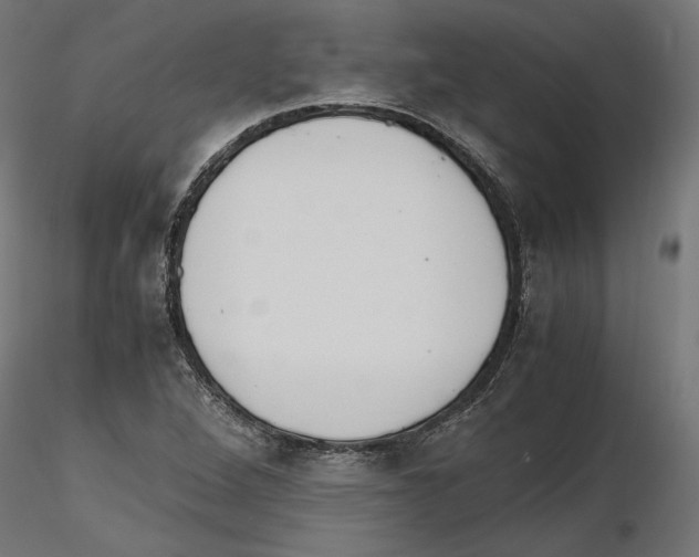X0000116461264201001061031