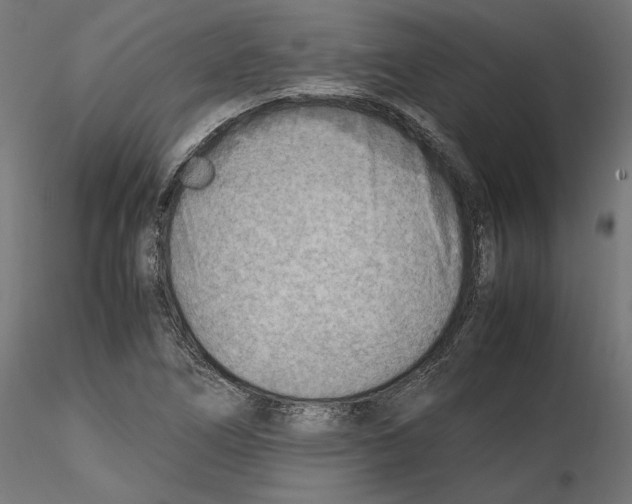 X0000116461266201001061031