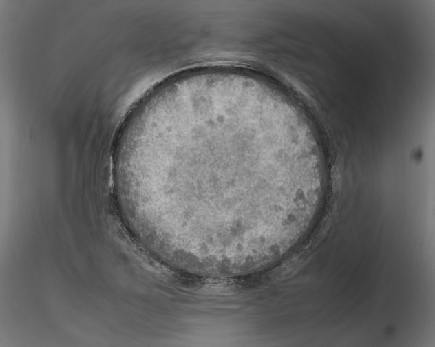 X0000116461267201001061031
