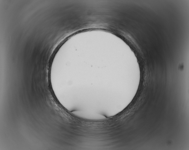 X0000116461268201001061031