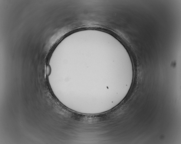 X0000116461269201001061031