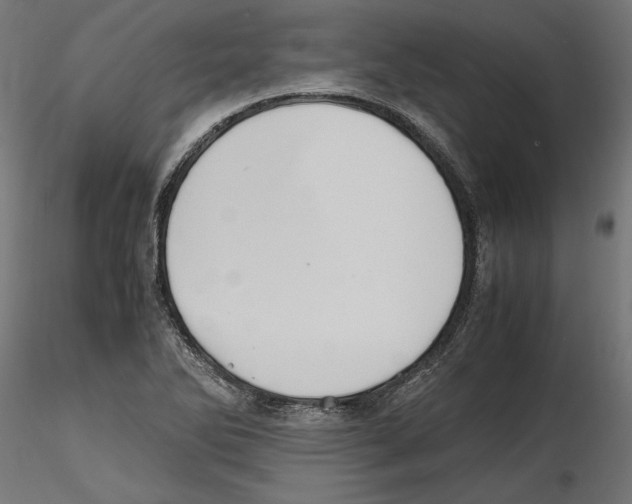 X0000116461270201001061031