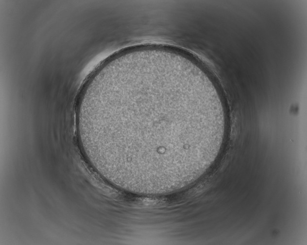 X0000116461271201001061031