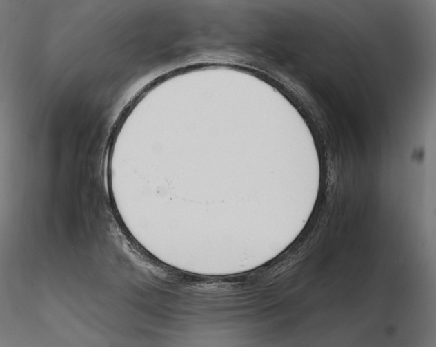 X0000116461272201001061031