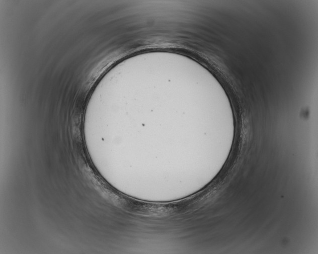 X0000116461273201001061031