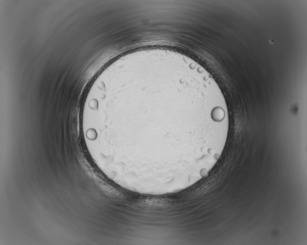 X0000116461274201001061031