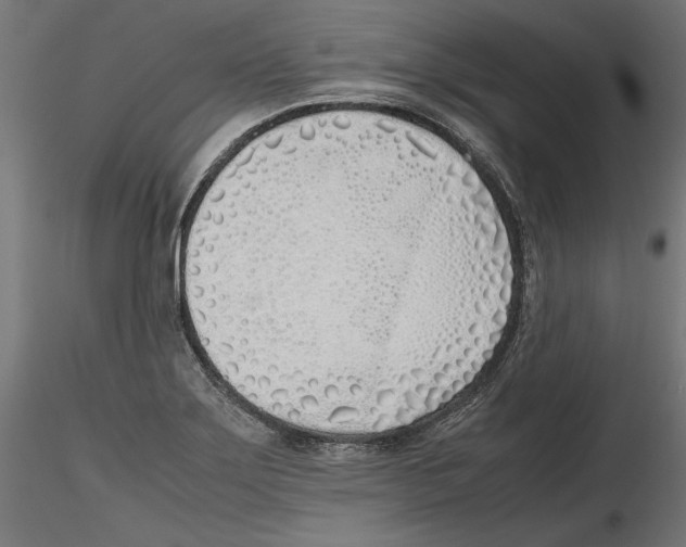 X0000116461275201001061030