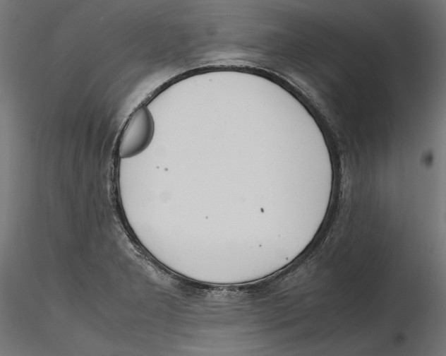 X0000116461277201001061030