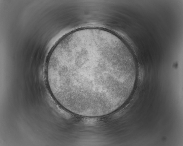 X0000116461278201001061030