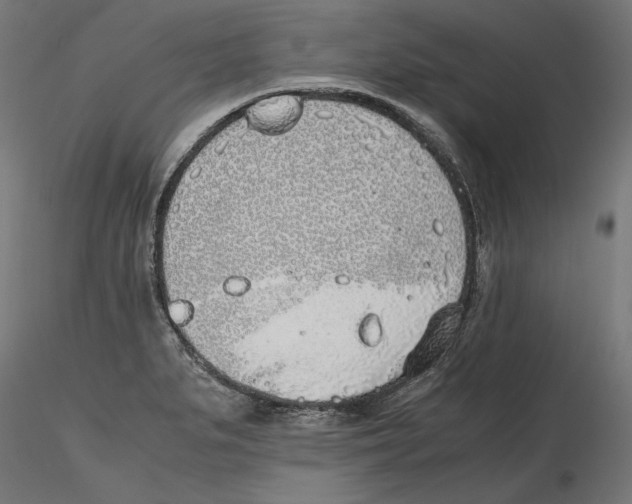 X0000116461279201001061030
