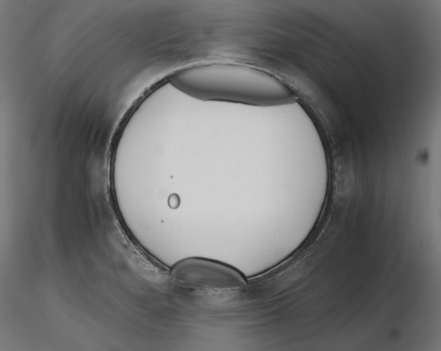 X0000116461280201001061030