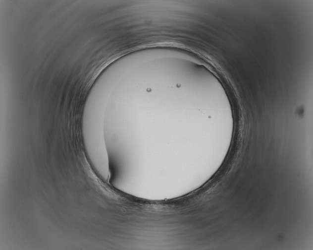 X0000116461281201001061030