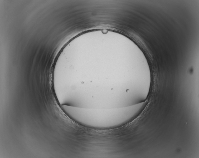 X0000116461284201001061030