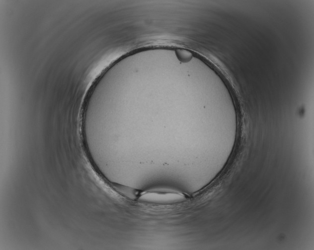 X0000116461285201001061030