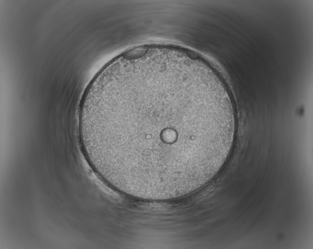 X0000116461287201001061030