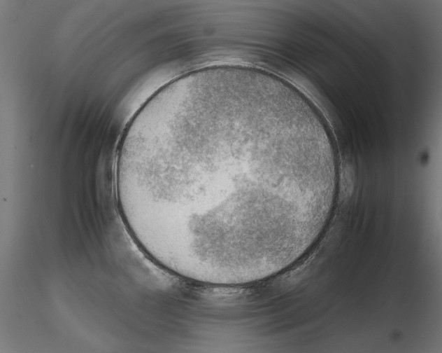 X0000116461290201001061030