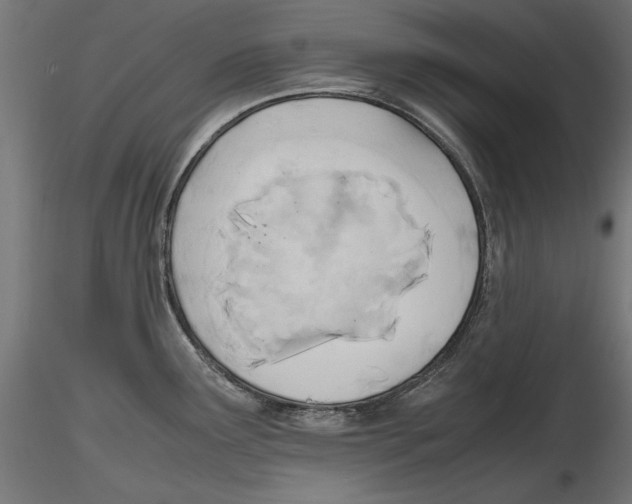 X0000116461291201001061030