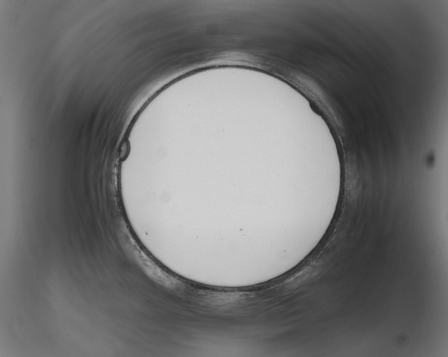 X0000116461292201001061030