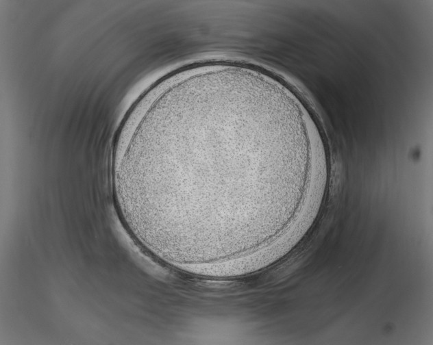 X0000116461295201001061030